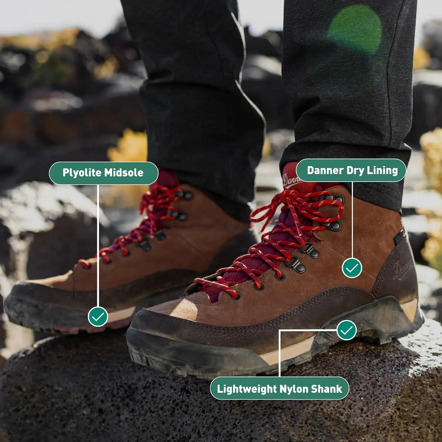 Danner Panorama 6” Waterproof Hiking Boots for Men with Rich Suede Upper, Breathable Dry Barrier, Comfort Footbed, and Traction Outsole
