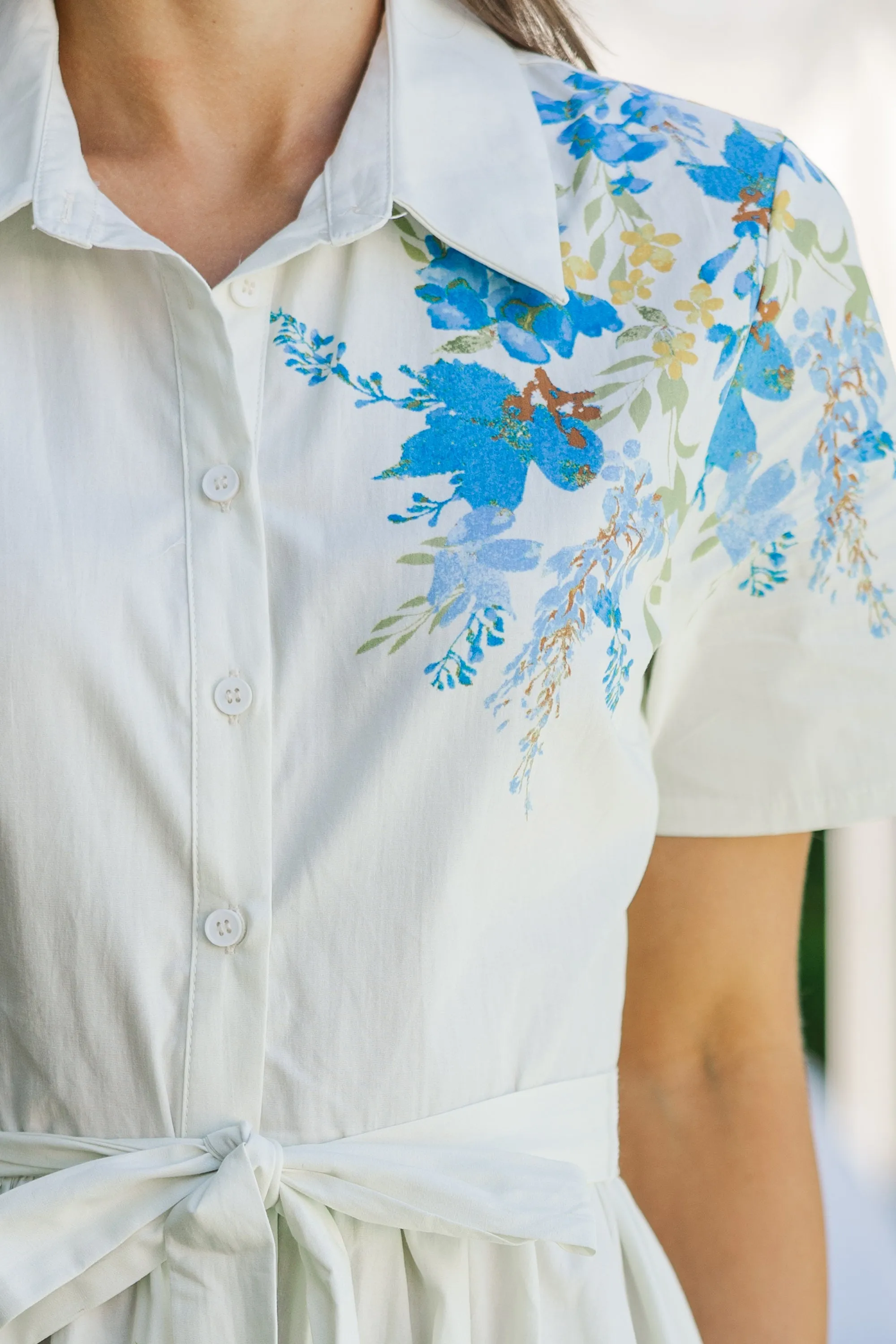 Feeling Connected Ivory Blue Floral Dress