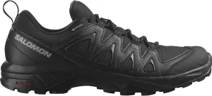 Salomon Men's X Braze GTX Hiking Shoes